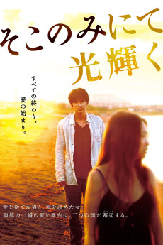The Light Shines Only There (2014) download